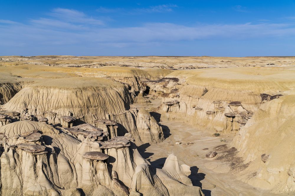 Photograph by Vladimir Moldovan