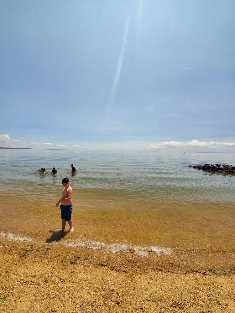 Photograph by Brian Scowcroft