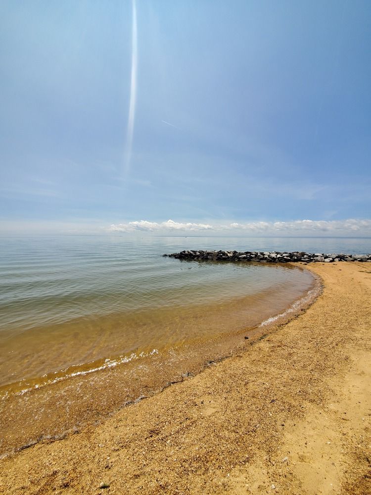 Photograph by Brian Scowcroft