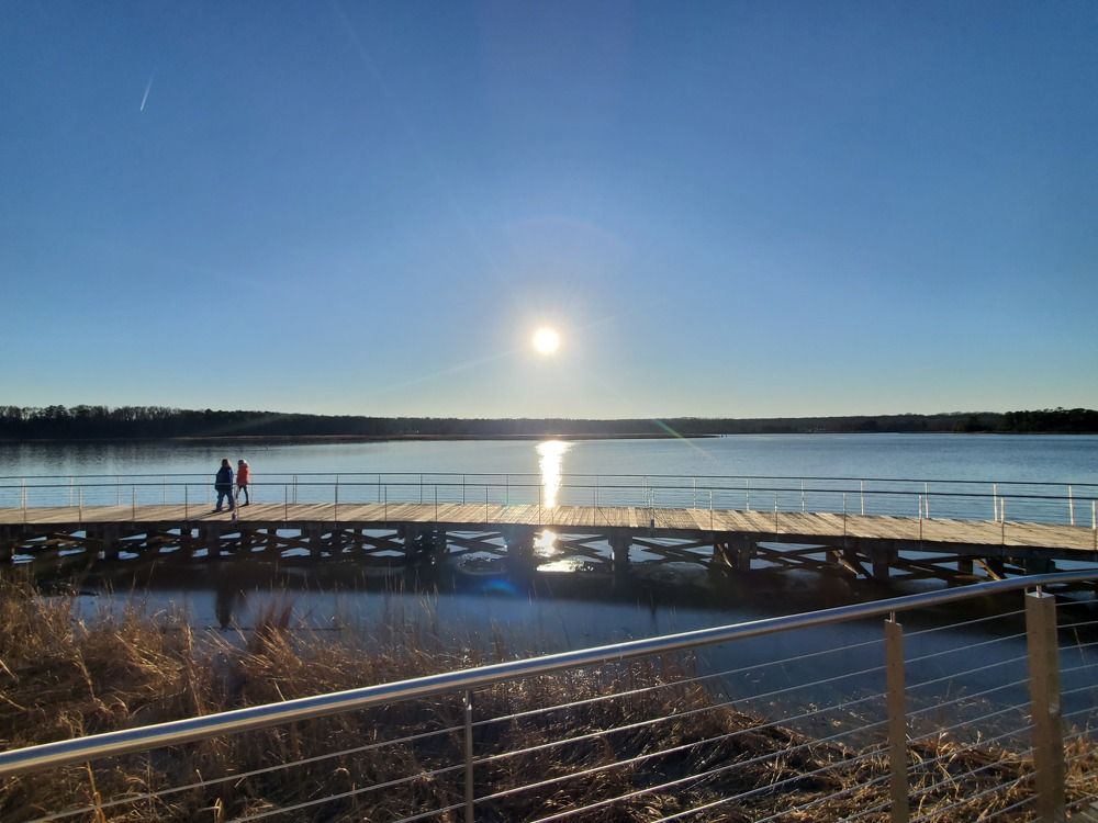 Photograph by Brian Scowcroft