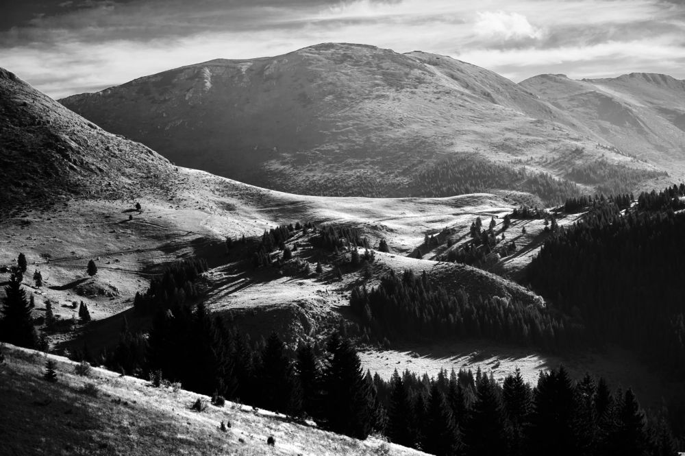 Photograph by Ilir Berisha