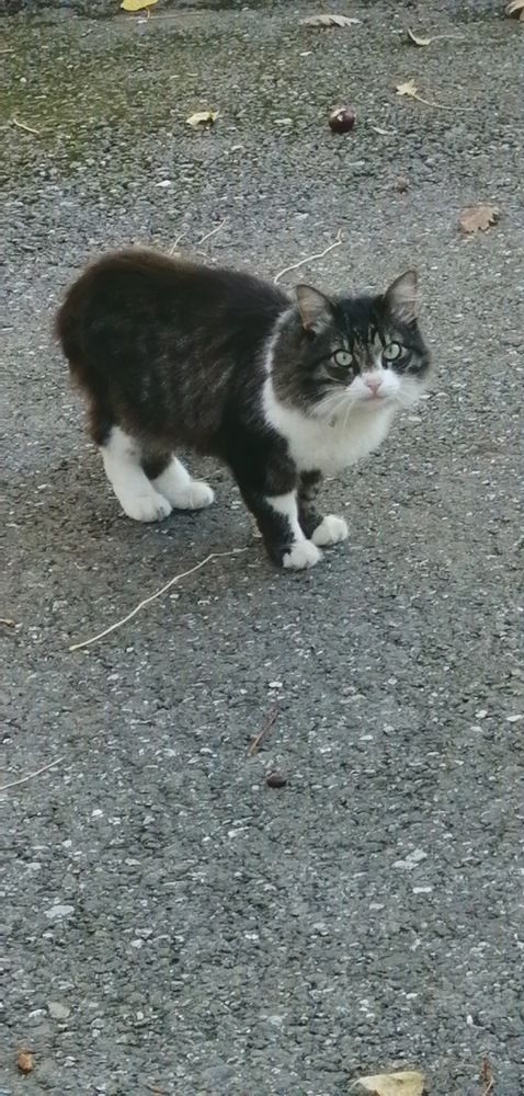 Photograph by Мила Мит