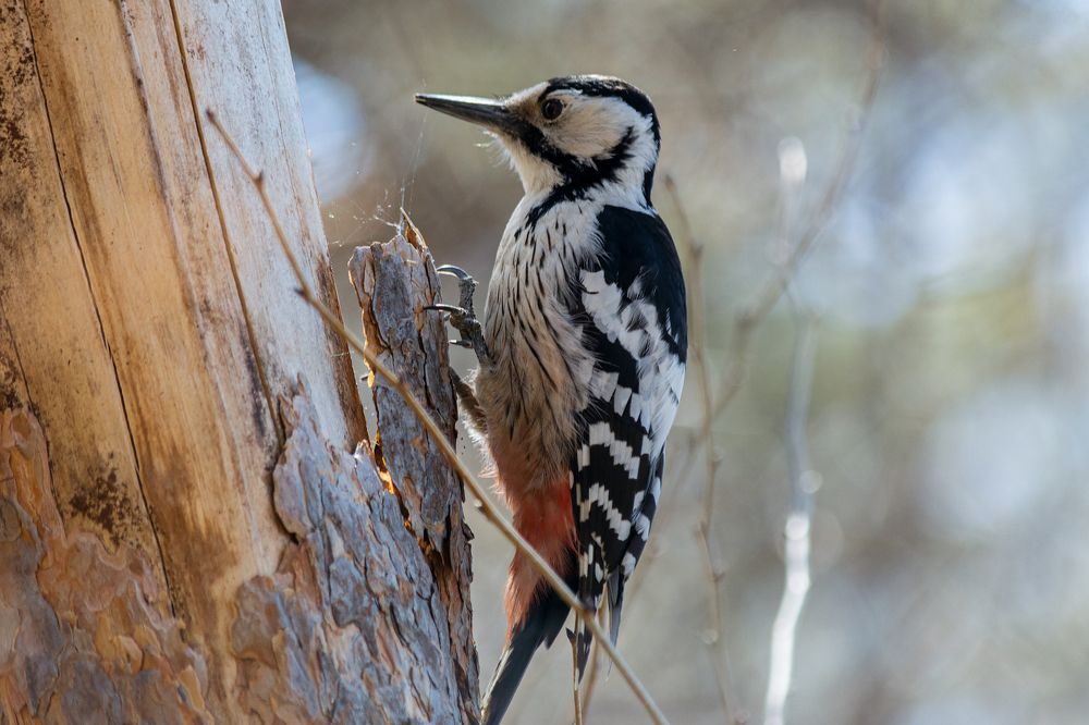 Photograph by Виктор Чернюк