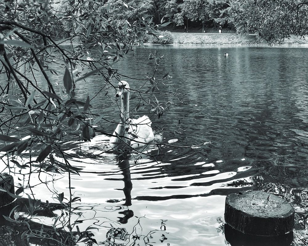 Photograph by Наталья Сафронова