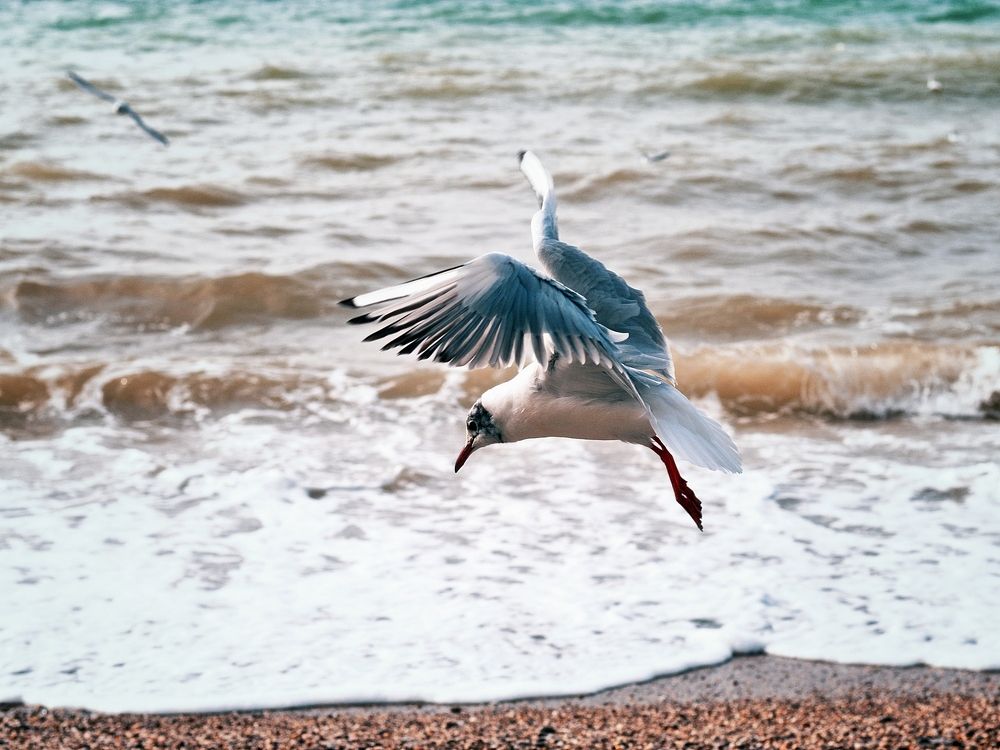 Photograph by Ольга Мальцева