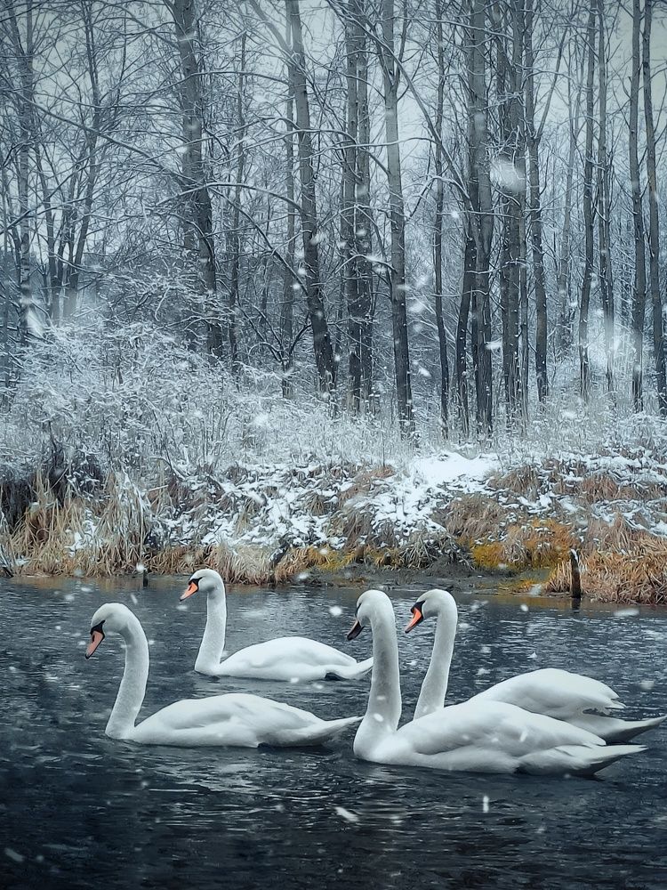 Photograph by Paweł Charkiewicz