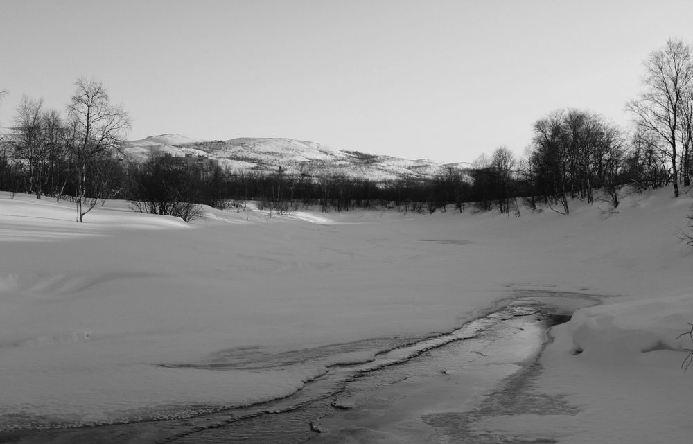 Photograph by Ирина Чечкина