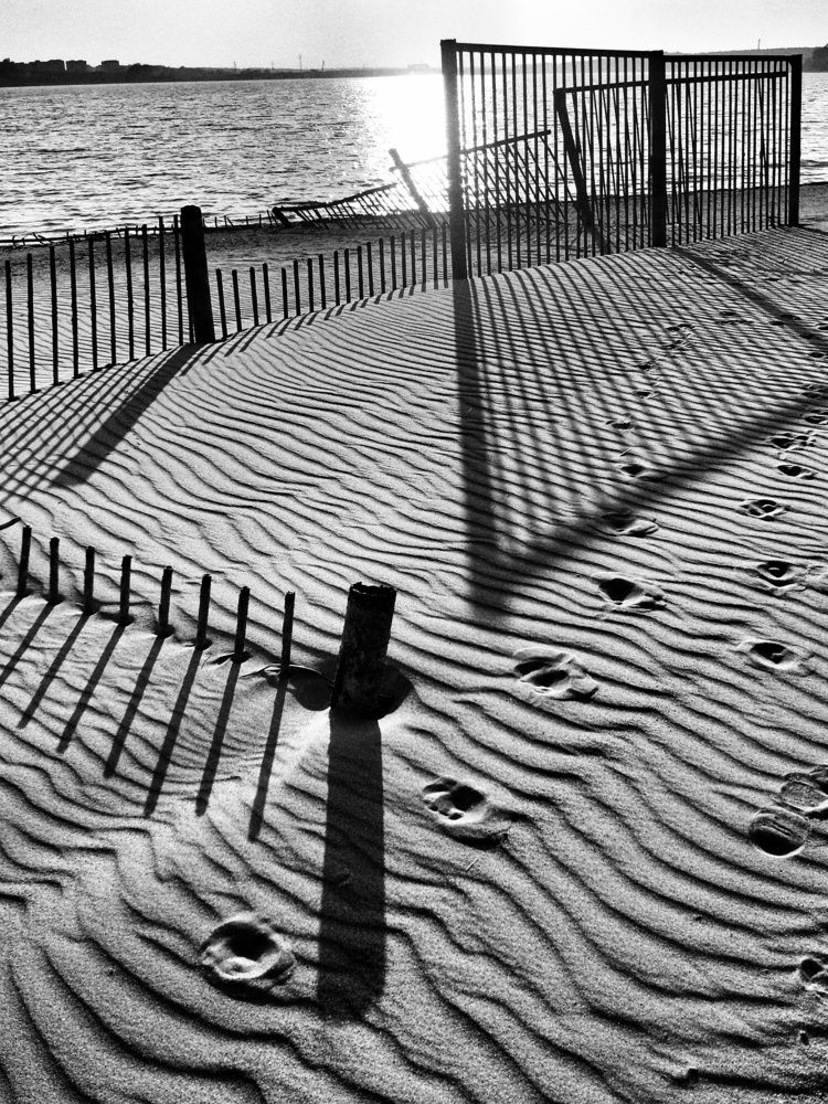 Фотография автора Юлия Есина