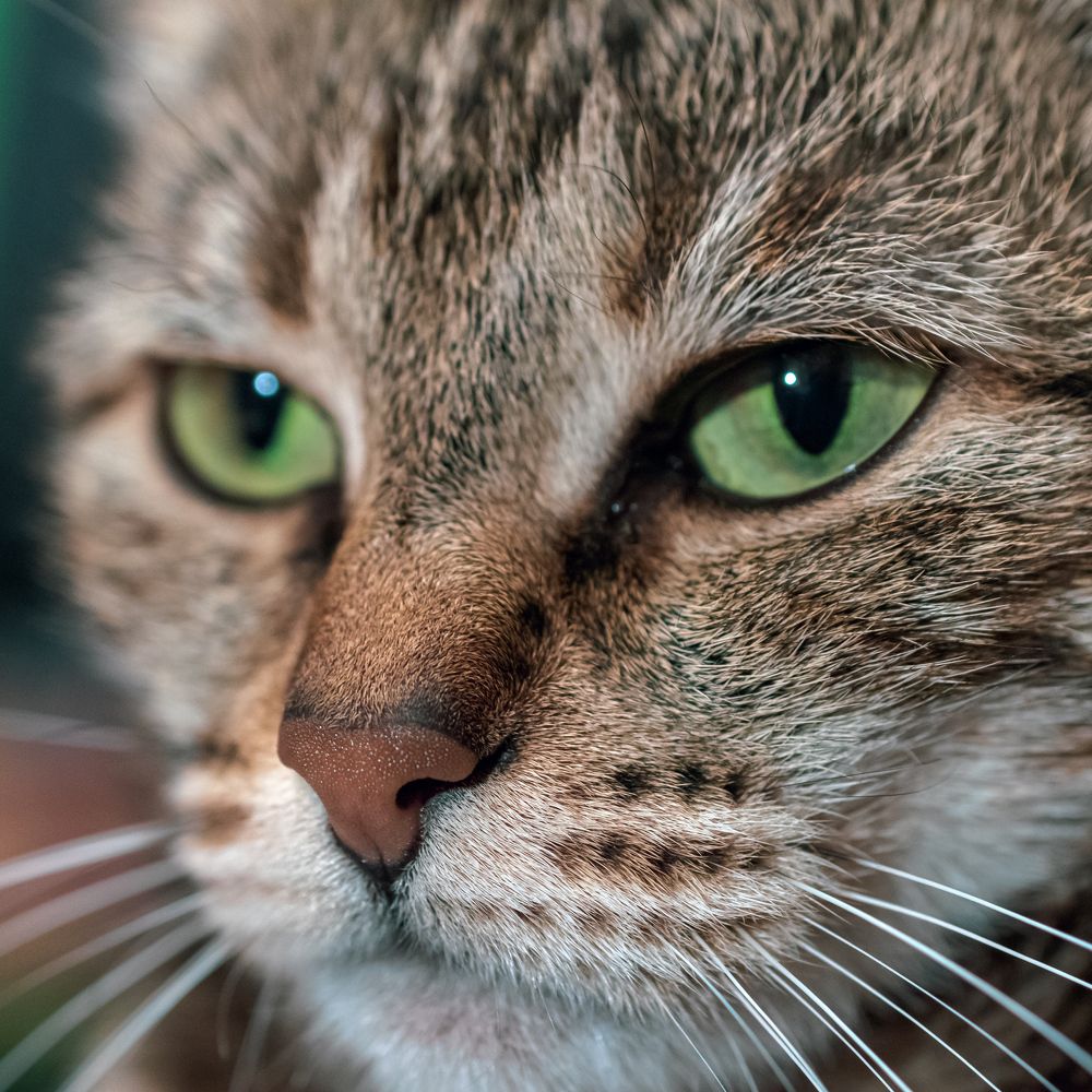 Photograph by Валерий Петухов