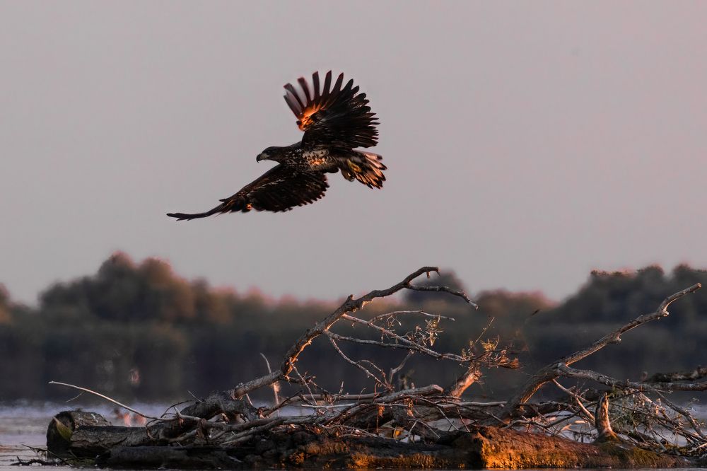 Photograph by Adrian Grigore