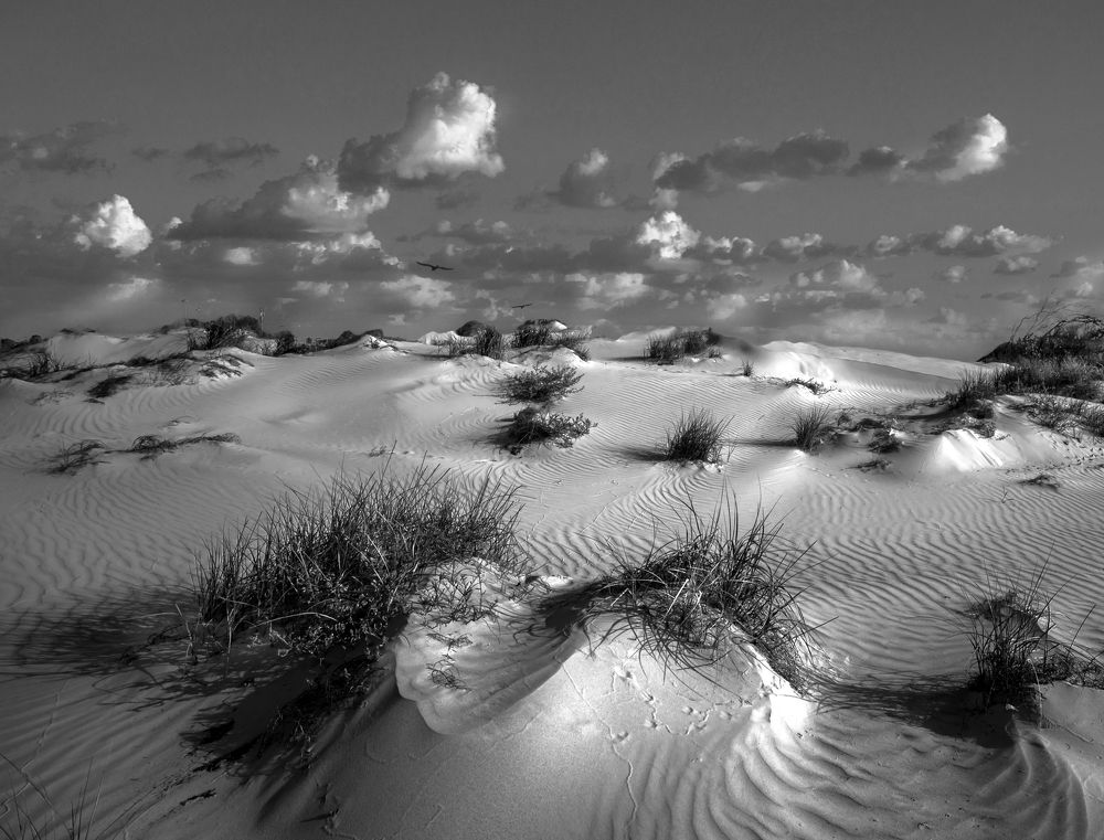 Photograph by Leonid Lan