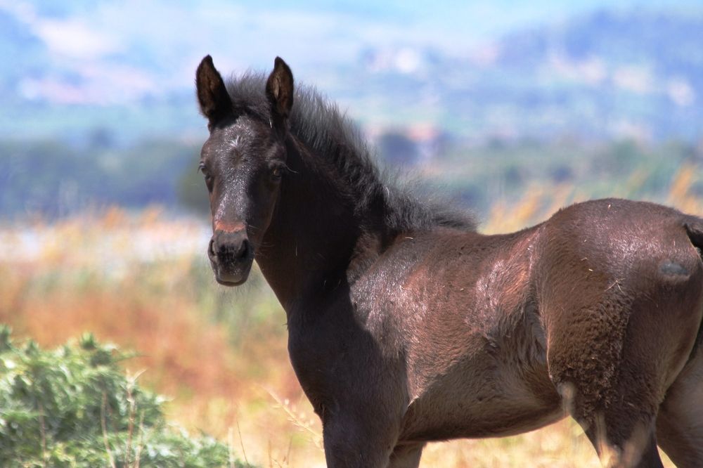 Photograph by Nadzeya