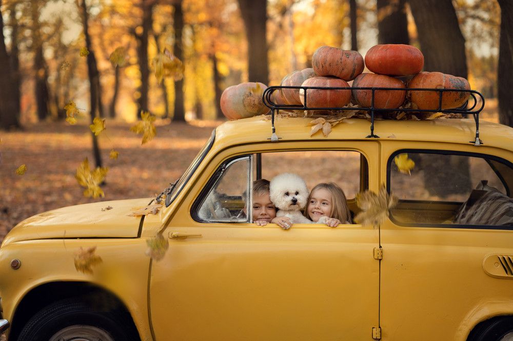 Photograph by Юлия Гречкина