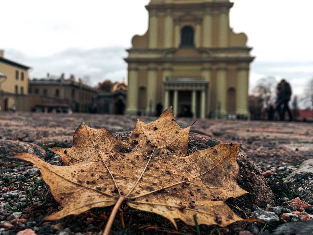 Photograph by Лукаш Варданян