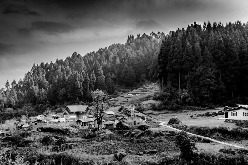 Photograph by Joyraj Samanta