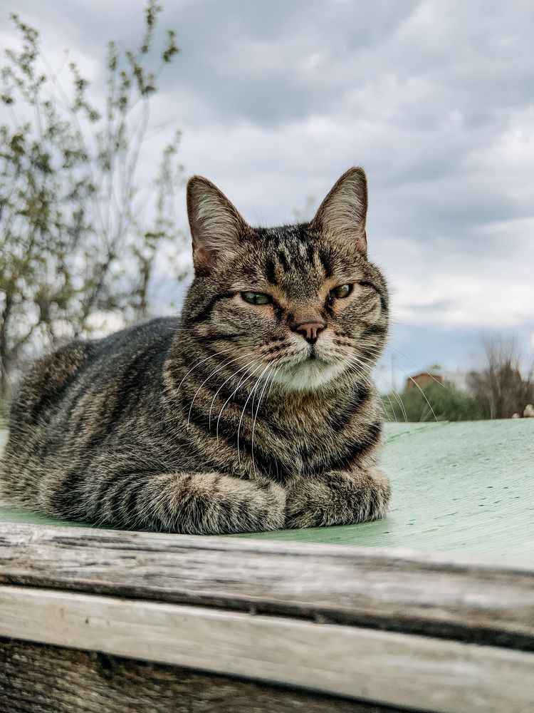 Photograph by Яна Полякова