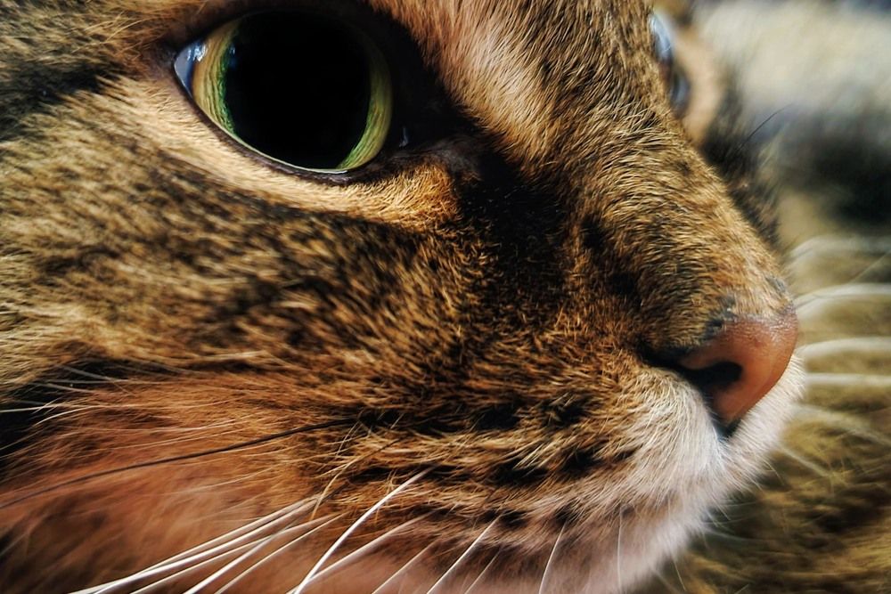 Photograph by Татьяна Галаева