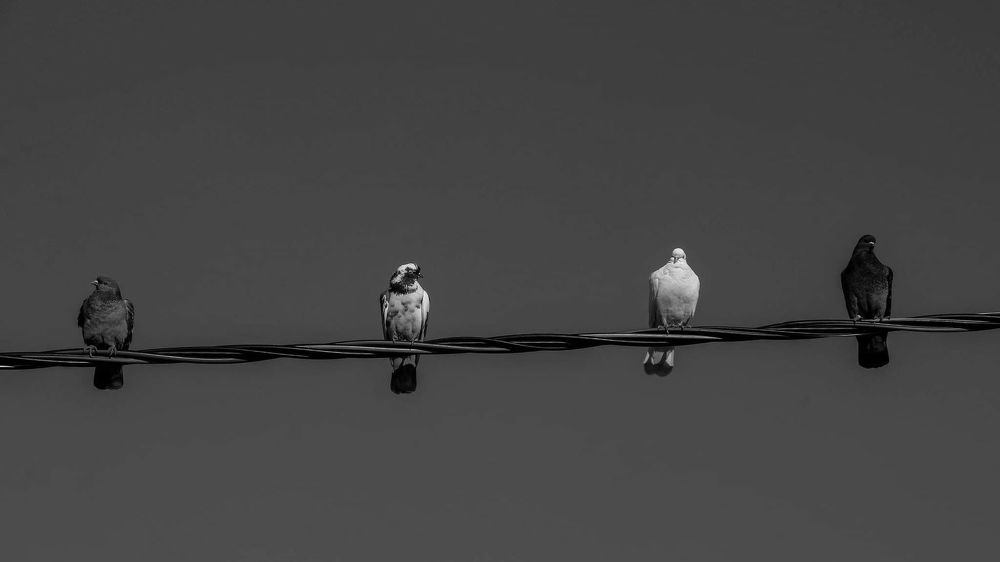 Photograph by Jafar Yahia