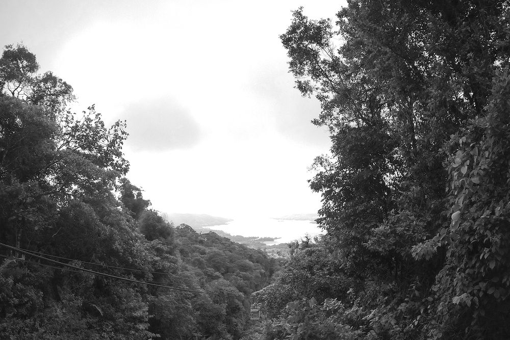 Photograph by Brenda Chávez Ortega