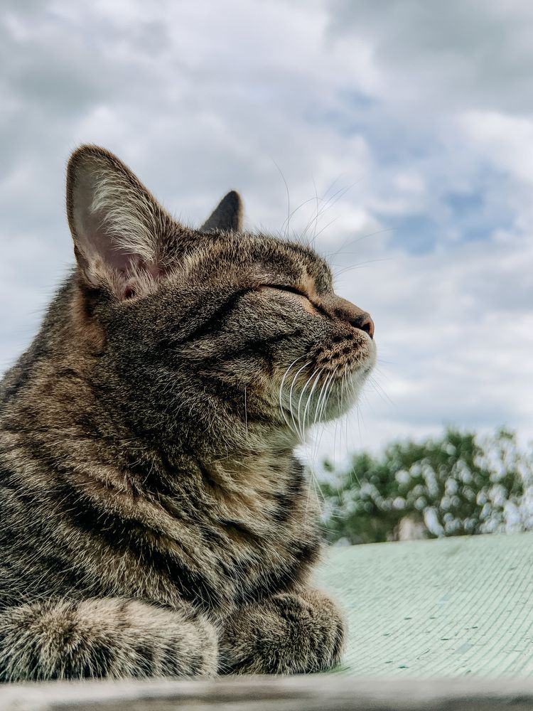 Photograph by Яна Полякова