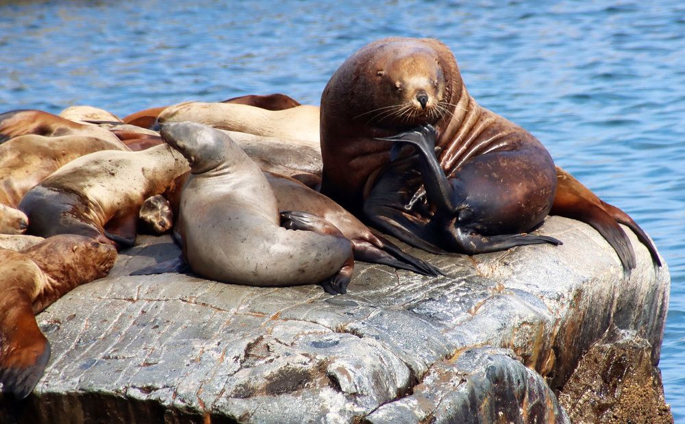 Photograph by Галина Ильясова