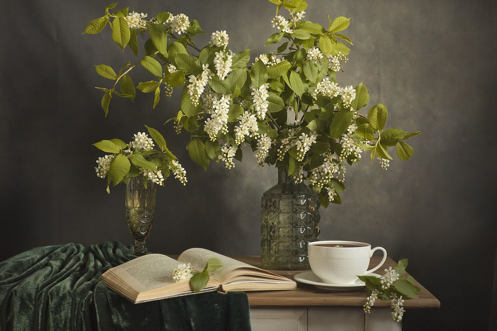 Цветёт черемуха