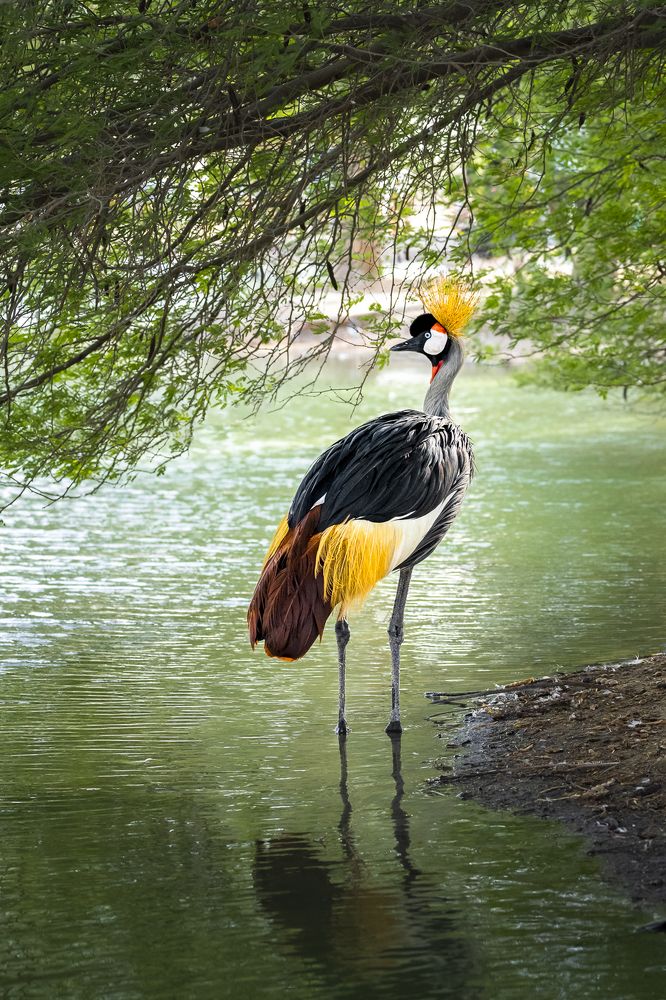 Photograph by Jayakumar MN