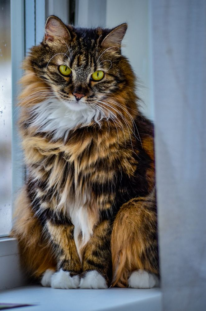 Photograph by Глухарев Сергей