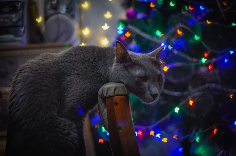 Photograph by Глухарев Сергей