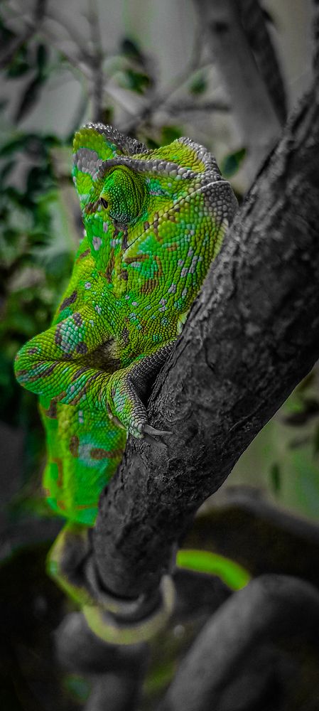 Photograph by Глухарев Сергей