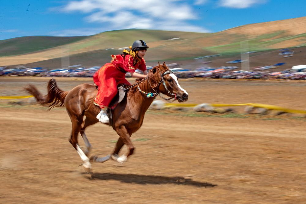 Photograph by mohammadreza behmaram