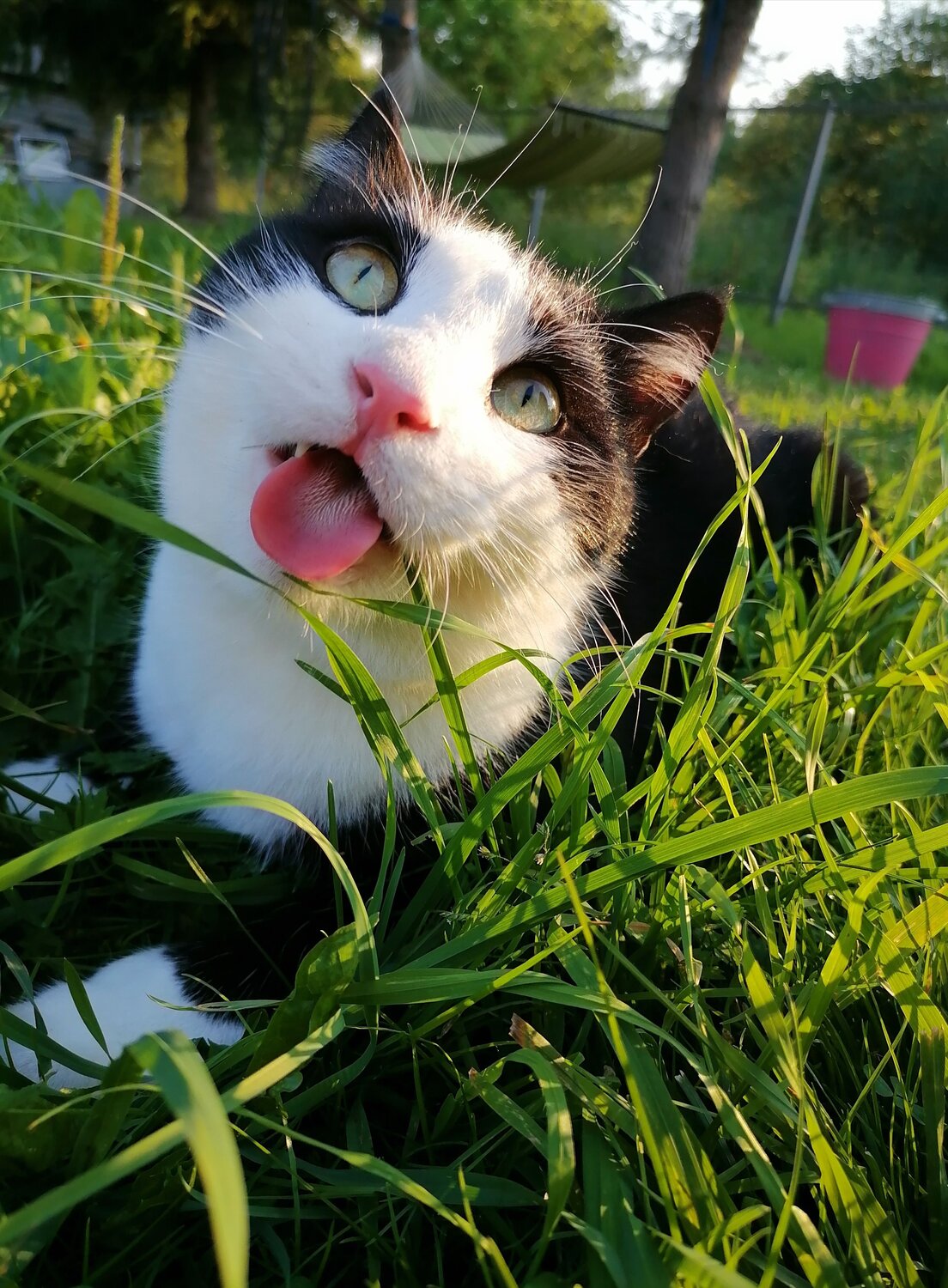 Photo #7574334