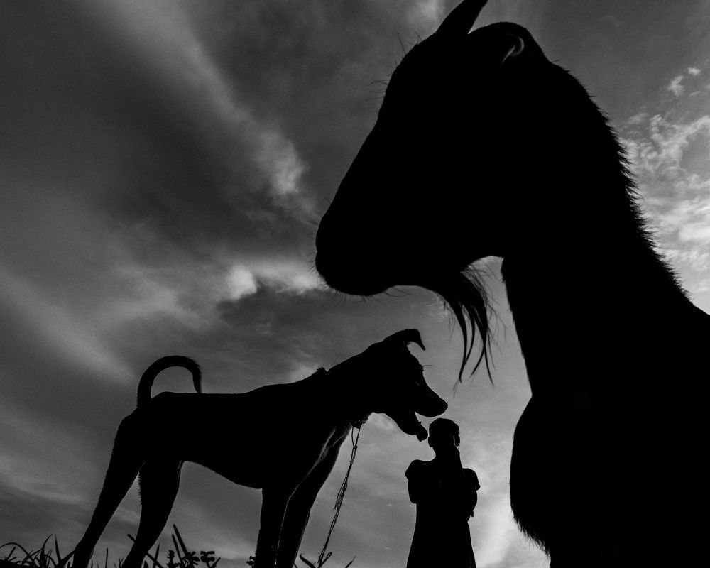 Photograph by Abhisek Roy