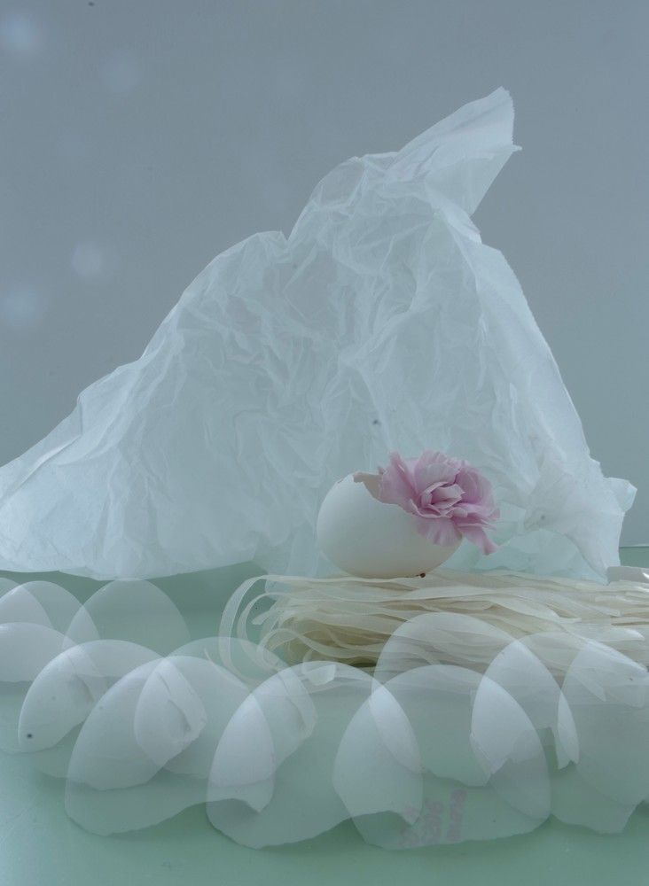 Photograph by ljubov robaltsenko