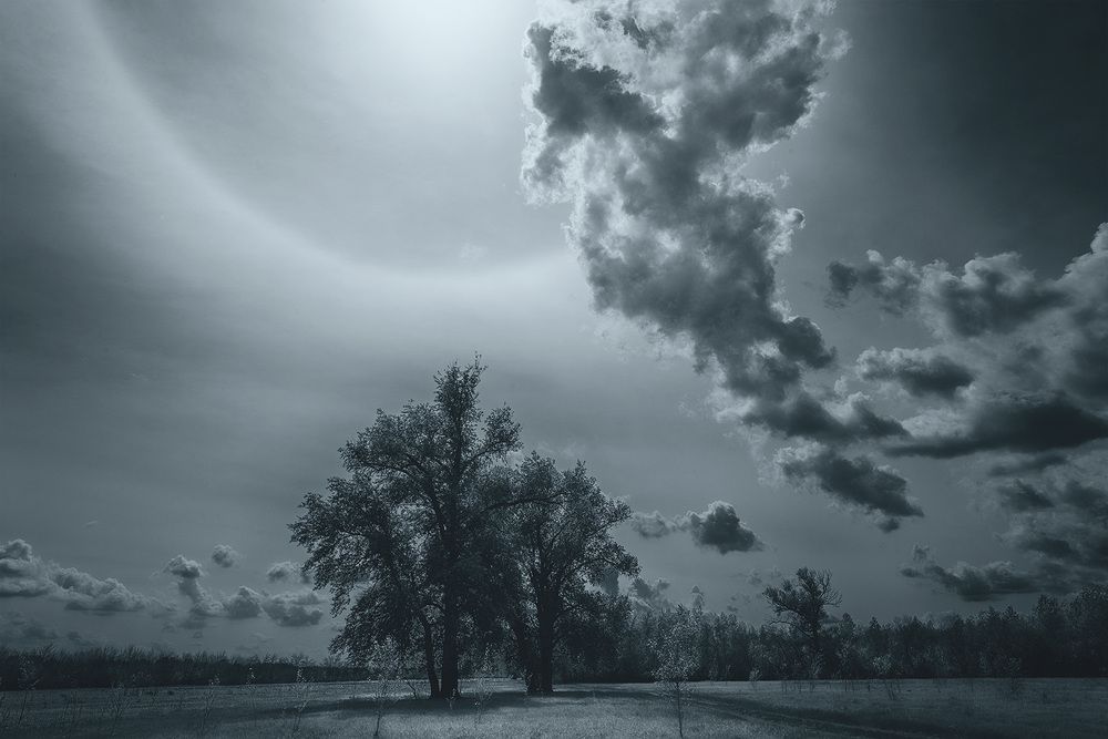 Photograph by Игорь Баранов