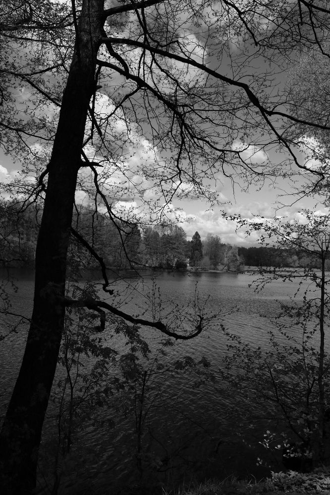 Photograph by Светлана Шуткова