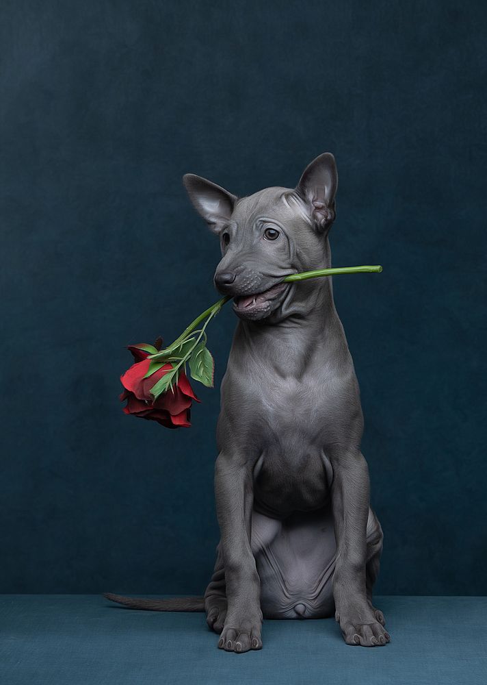 Photograph by Антон Базылевич