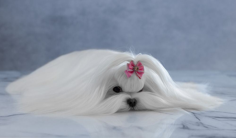 Photograph by Антон Базылевич