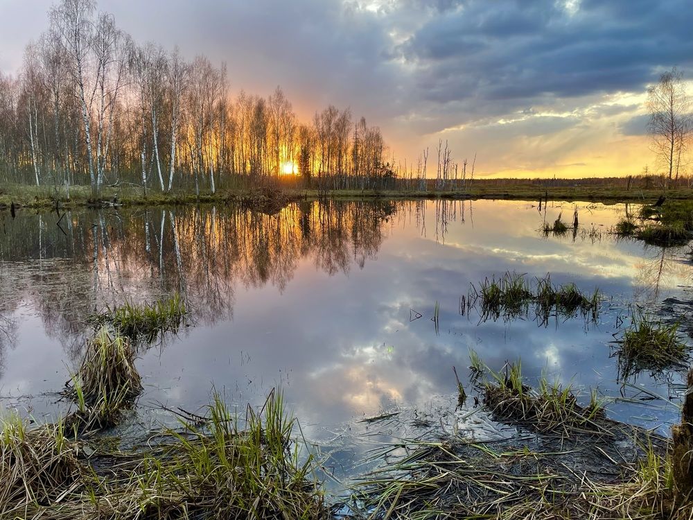 Photograph by Светлана Максимова