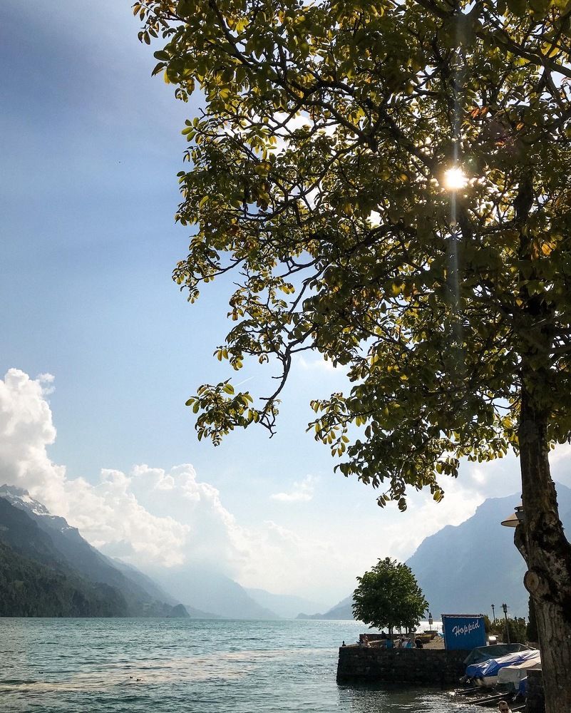 Photograph by Александра Бондаренко