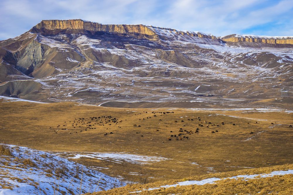 Карачаево-Черкесия