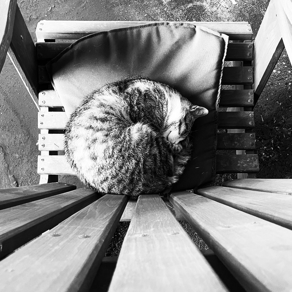 Photograph by jmabra