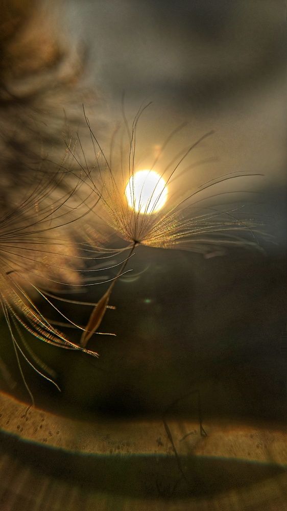 Photograph by Colmenarez nileydi