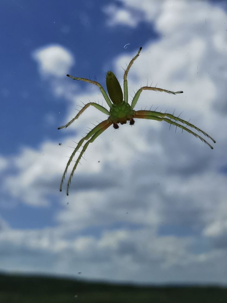 Photograph by Мария Маханько