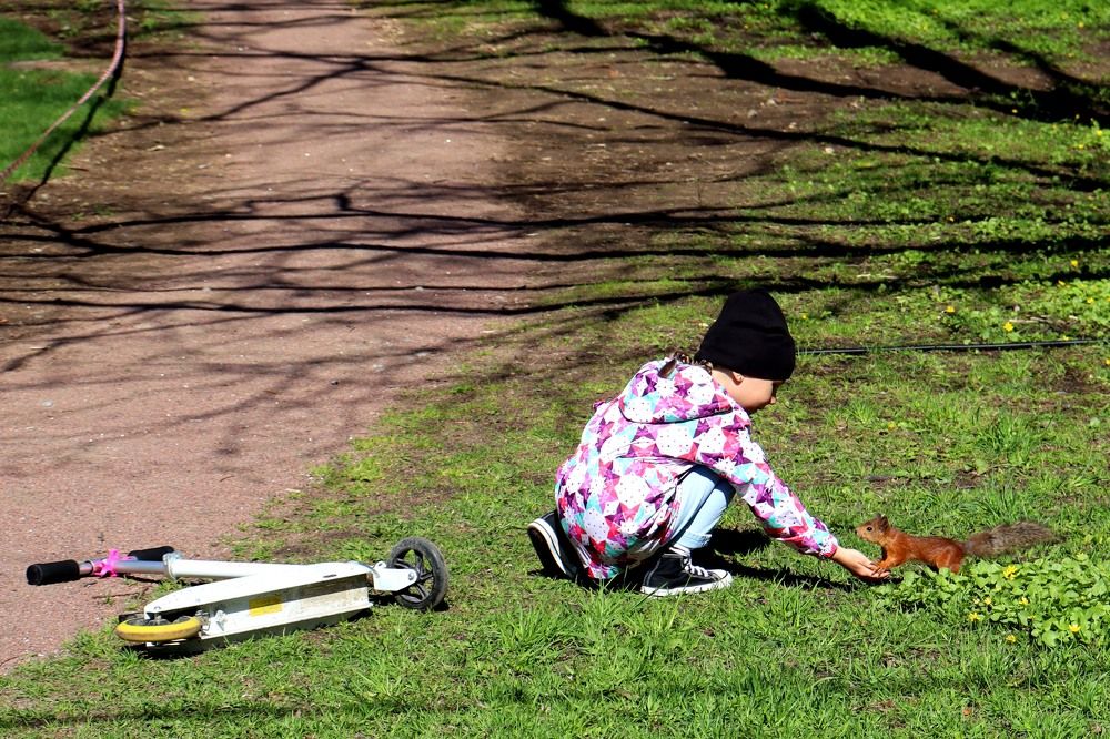 Контакт.  Интереснее самоката.   )))