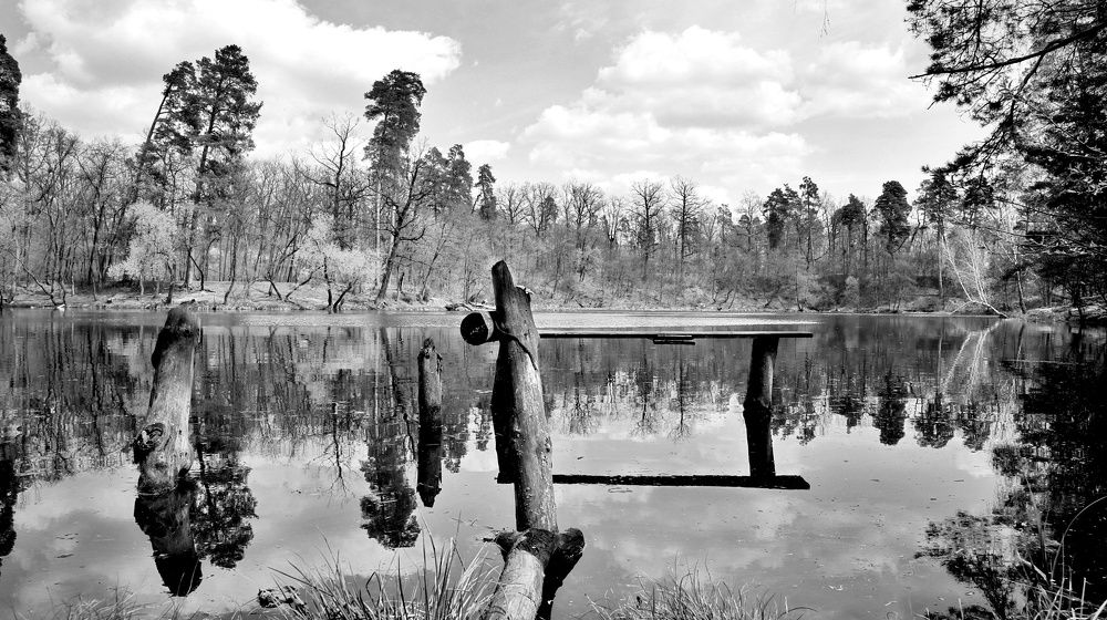 Photograph by Марина Шамич