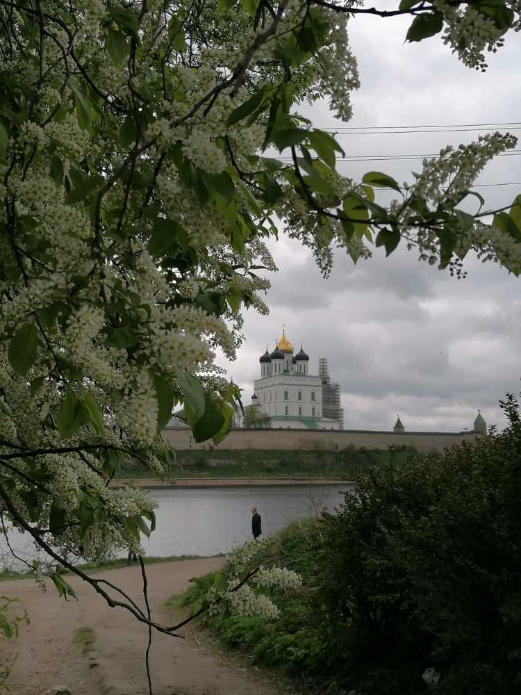 Photograph by Тамара Фельдшерова