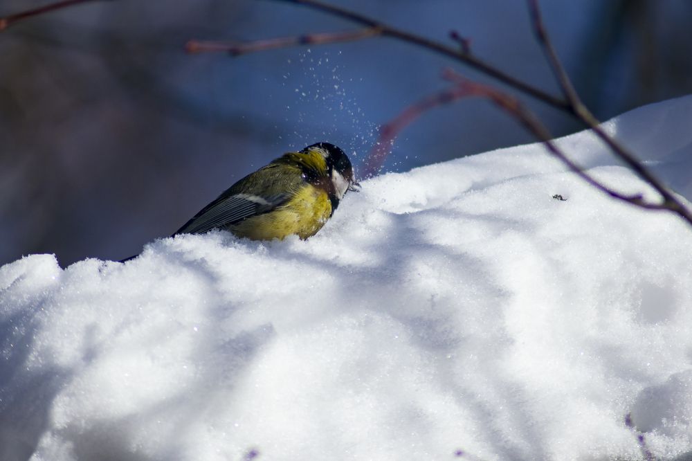 Photograph by Александра Лукашевич