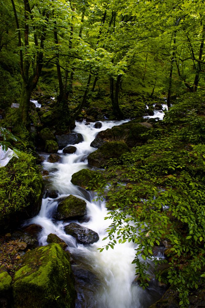 Photograph by hosein tajmir riahy