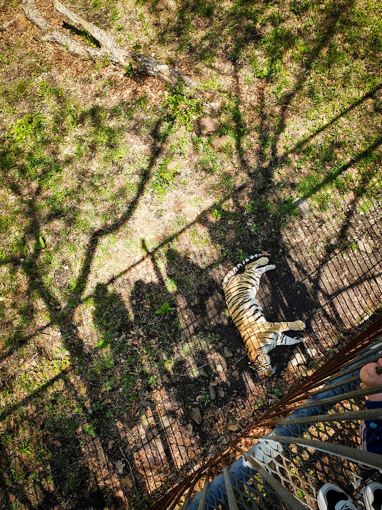 Photograph by Ксения Соколова